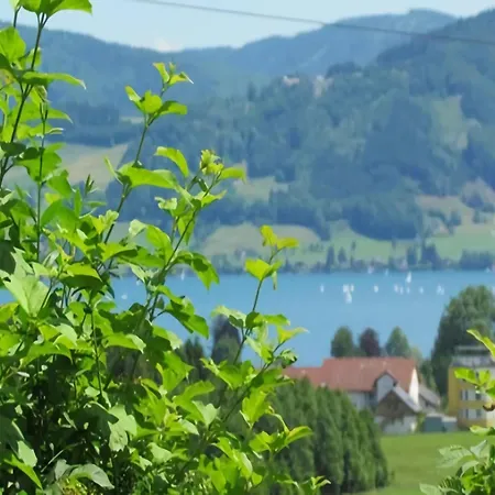 Σπίτι διακοπών Beautiful In With Garden Attersee